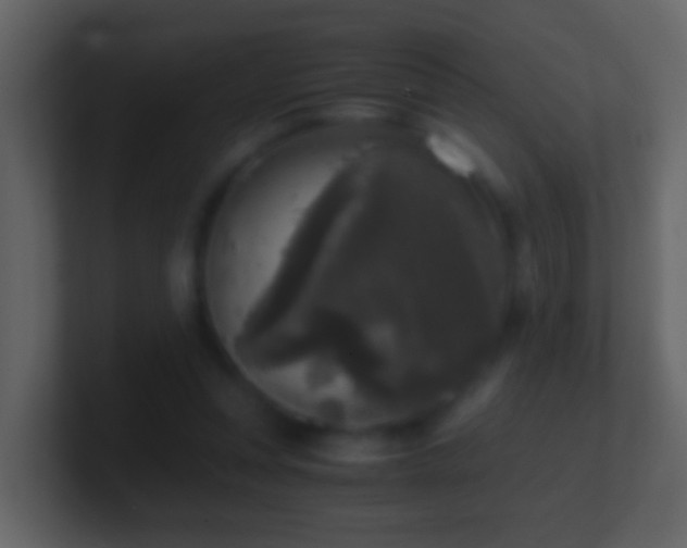 X0000101410351200807071259