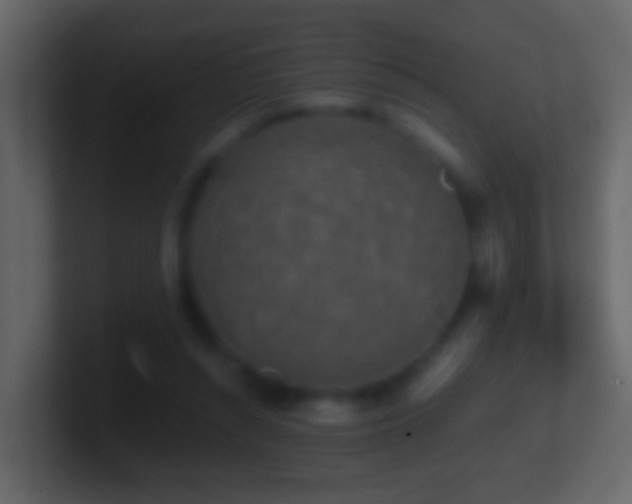X0000101410352200807071259