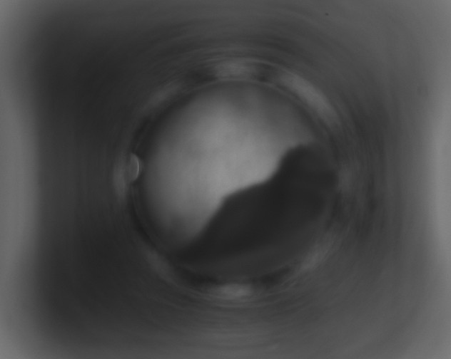 X0000101410353200807071259