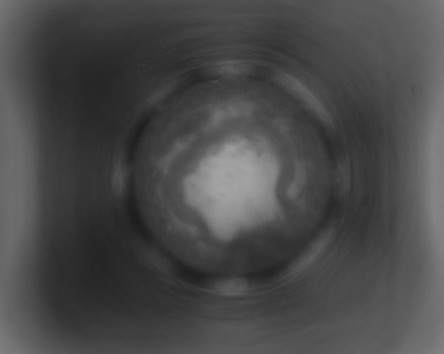 X0000101410355200807071259