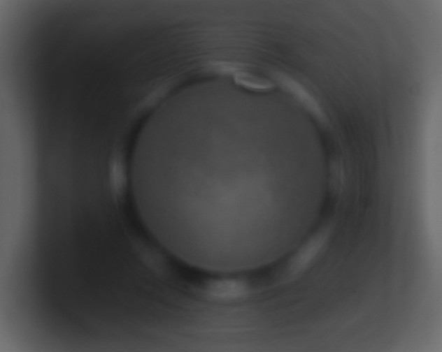 X0000101410358200807071300