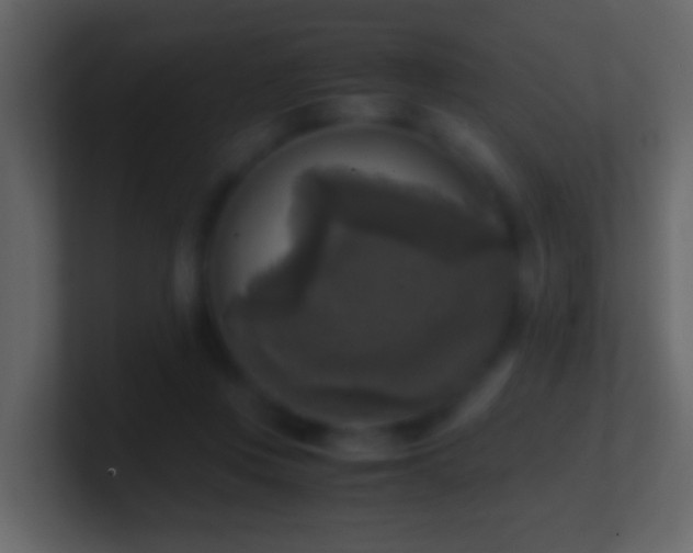 X0000101410359200807071300