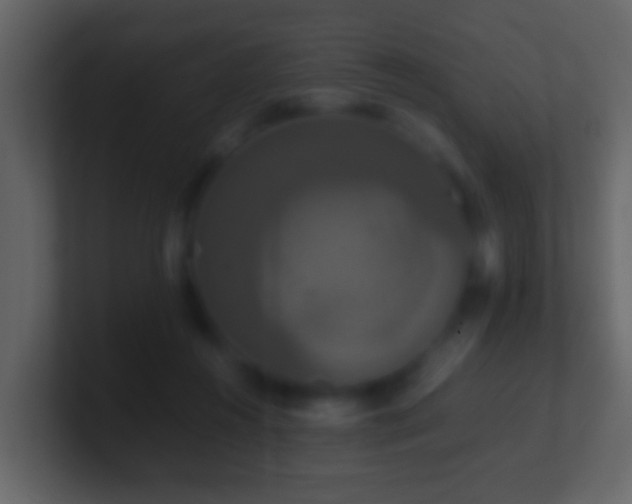 X0000101410360200807071300