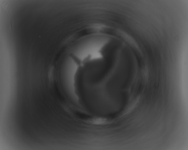 X0000101410361200807071300