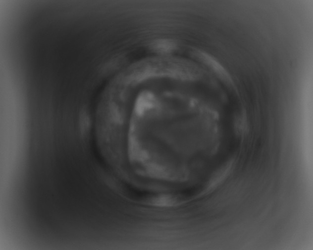 X0000101410365200807071300
