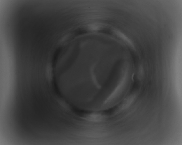 X0000101410366200807071300
