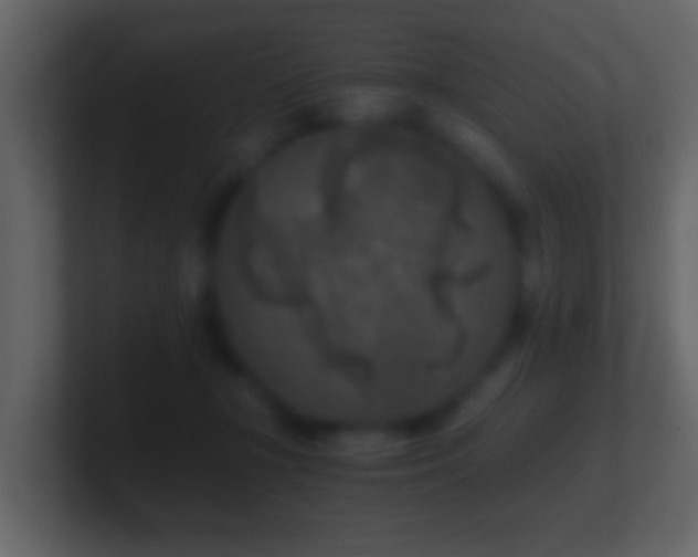 X0000101410367200807071300