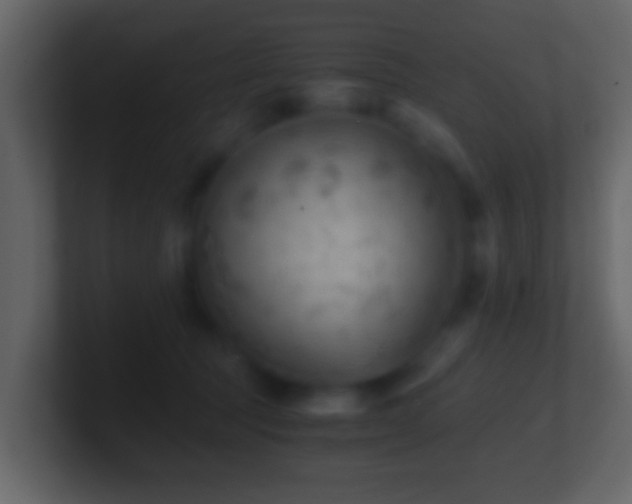 X0000101410369200807071300