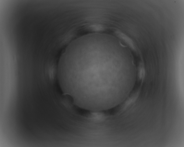 X0000101410376200807071300