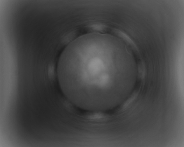 X0000101410377200807071300