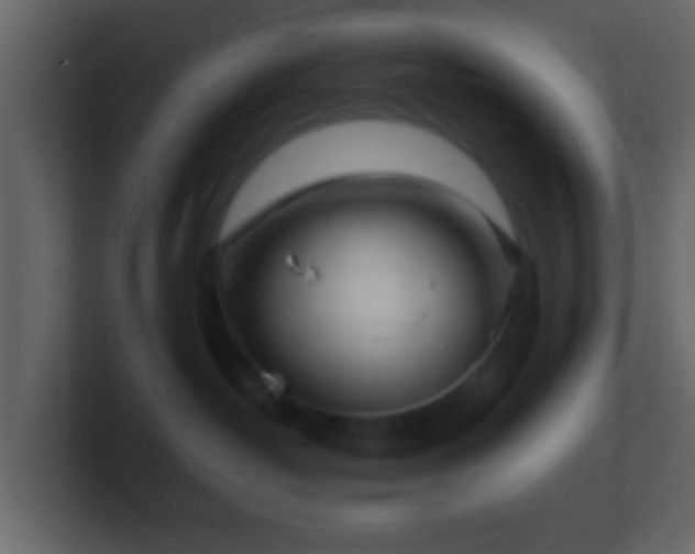 X0000101410382200807071300