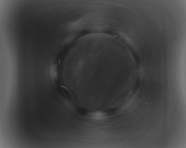X0000101410383200807071300