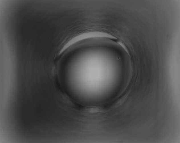 X0000101410384200807071300