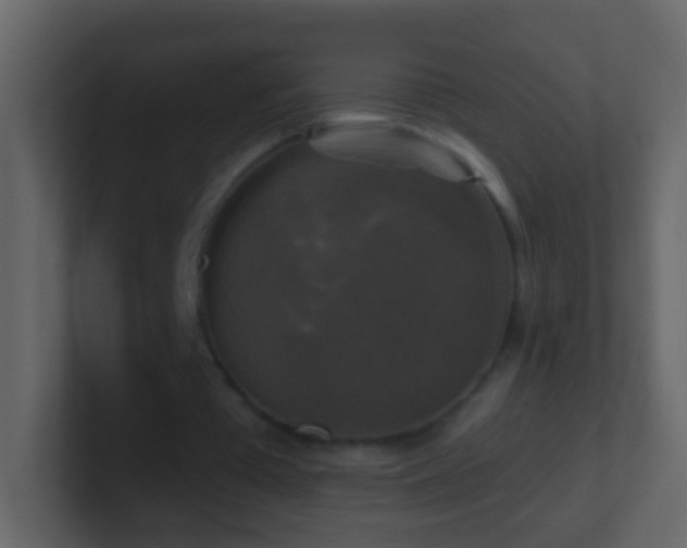 X0000101410385200807071259