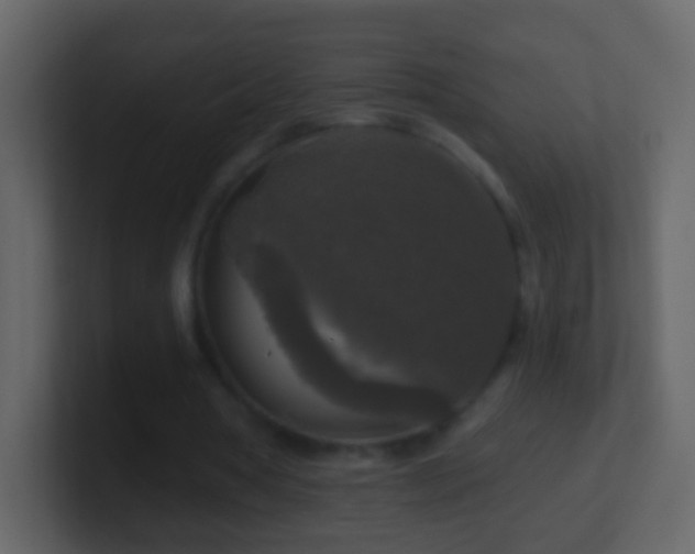 X0000101410386200807071259