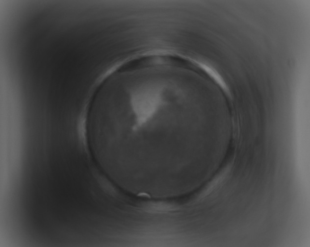 X0000101410389200807071259