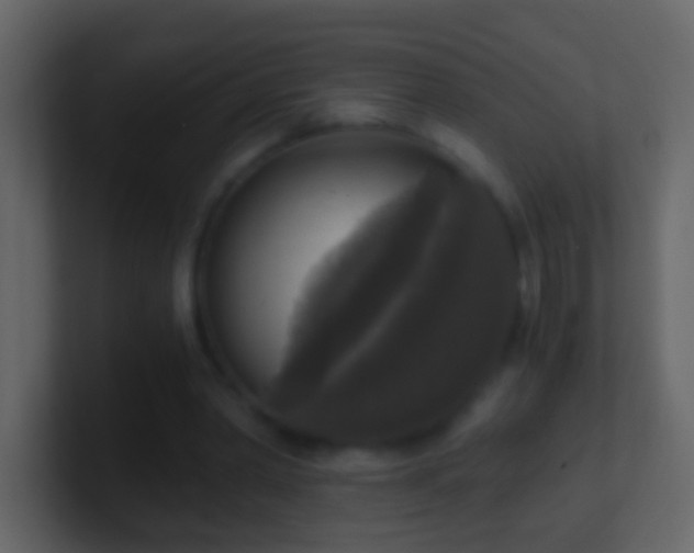 X0000101410390200807071259