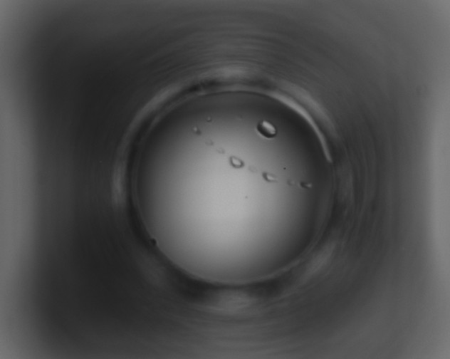 X0000101410392200807071259