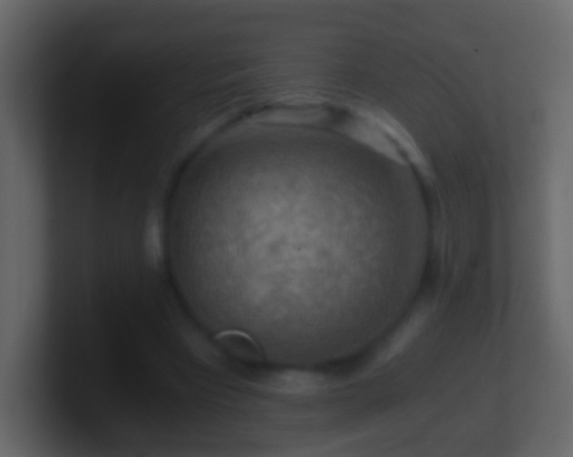 X0000101410393200807071259