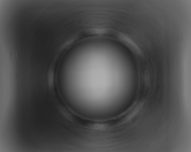 X0000101410394200807071259