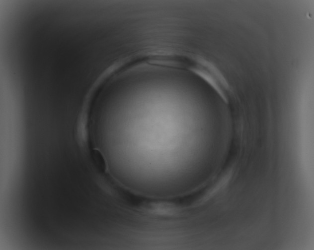 X0000101410395200807071259