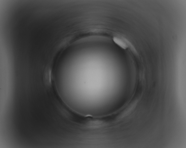 X0000101410397200807071259