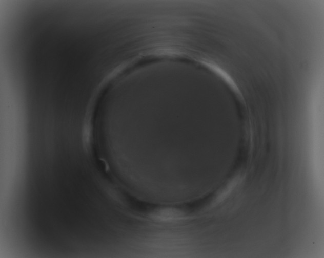 X0000101410399200807071259