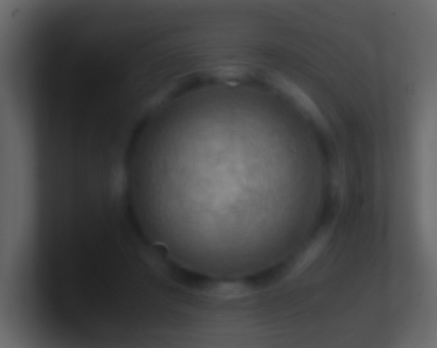X0000101410401200807071259