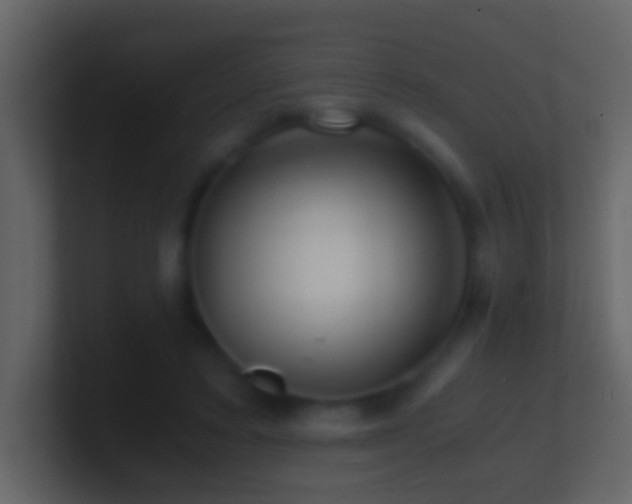 X0000101410403200807071259