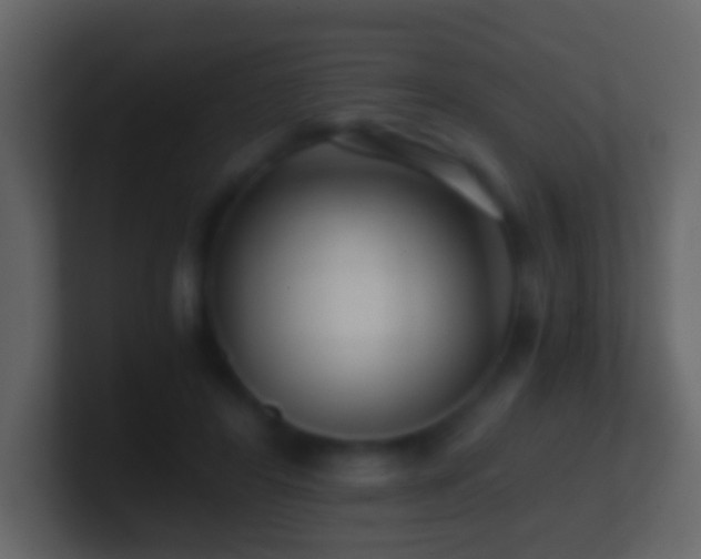 X0000101410404200807071259