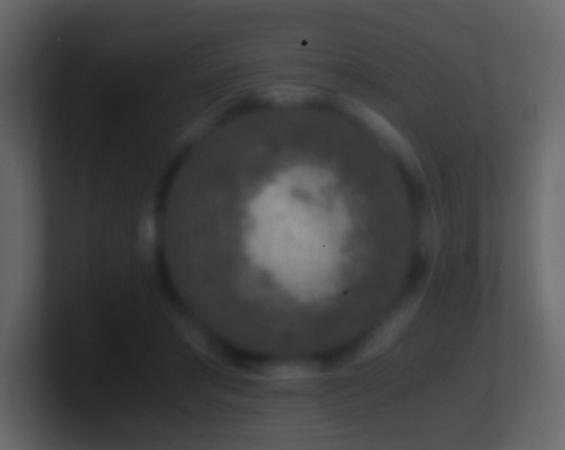 X0000101410405200807071259