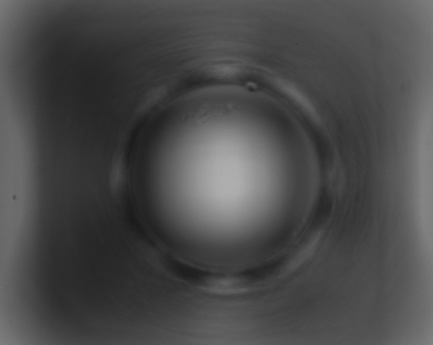 X0000101410407200807071259