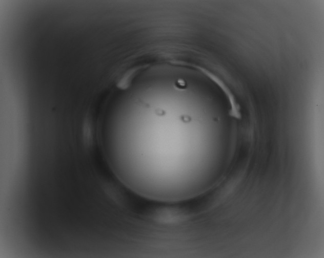 X0000101410408200807071259