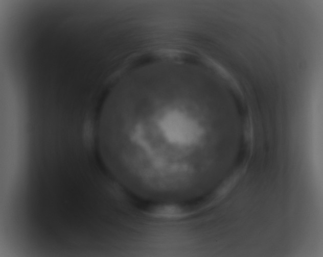 X0000101410409200807071259