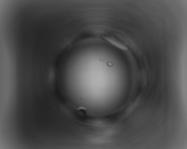X0000101410412200807071259