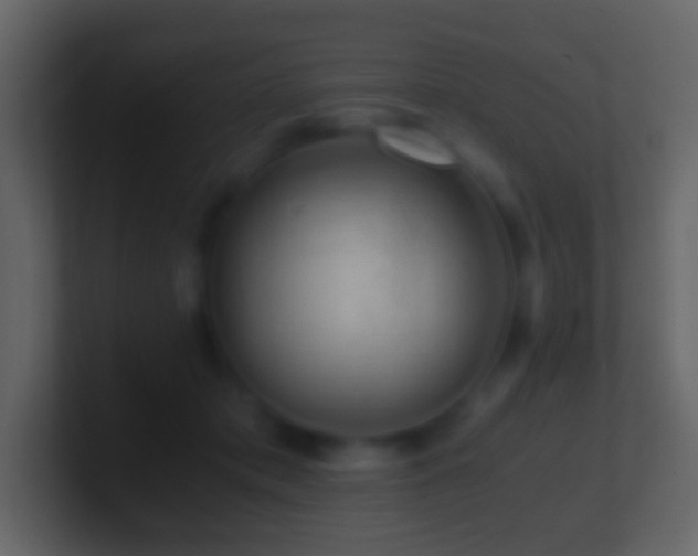 X0000101410413200807071259