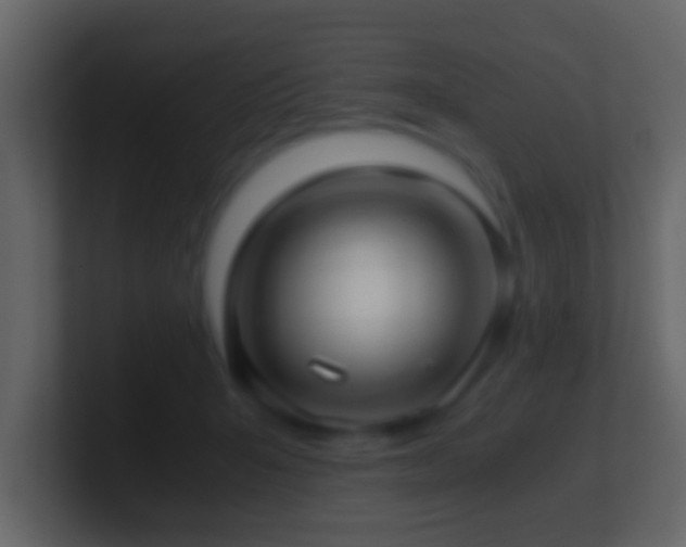 X0000101410415200807071259