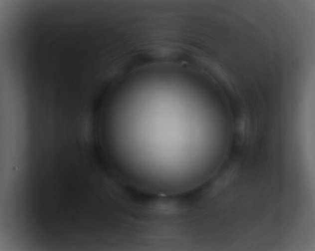 X0000101410416200807071259