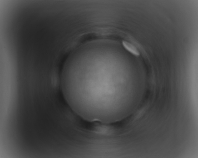X0000101410417200807071259
