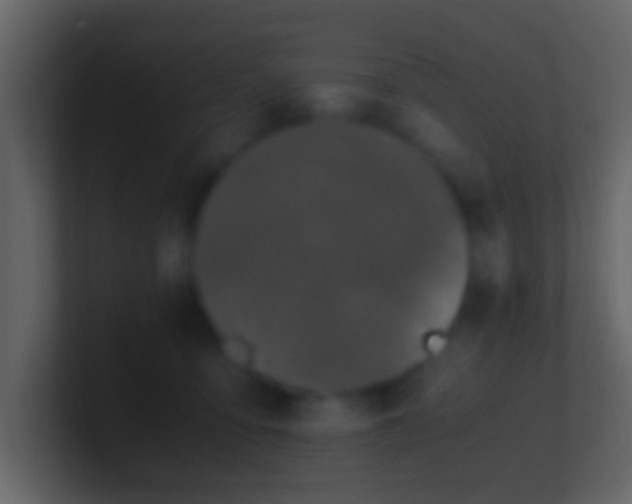 X0000101410419200807071259