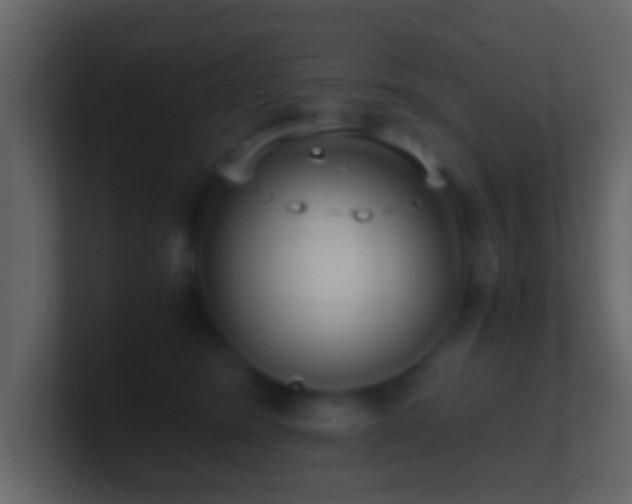 X0000101410420200807071259