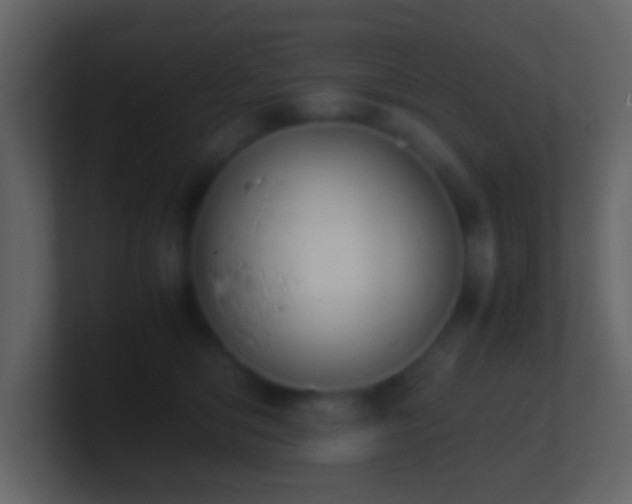 X0000101410422200807071259