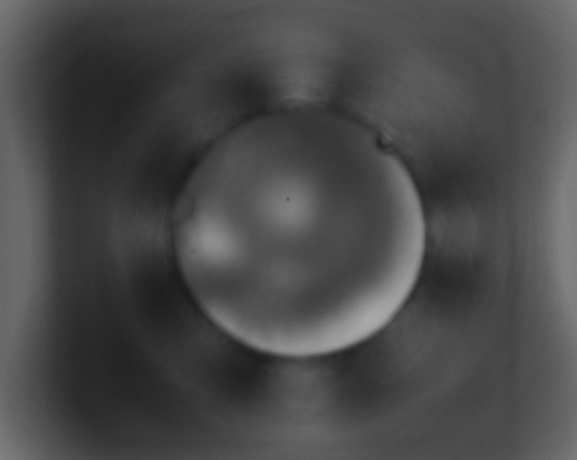 X0000101410423200807071259