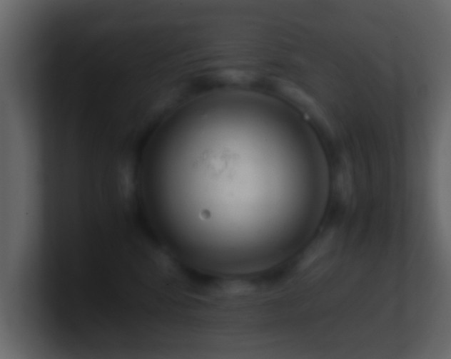 X0000101410424200807071259