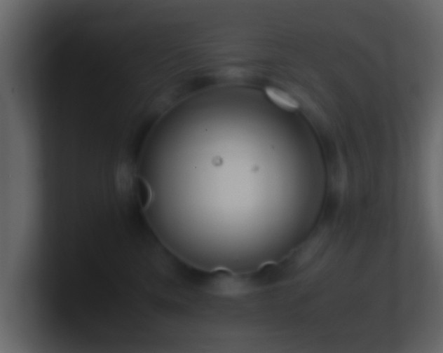 X0000101410425200807071259