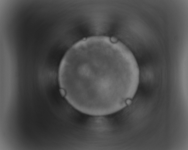 X0000101410427200807071259