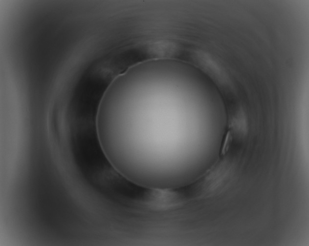 X0000101410429200807071259