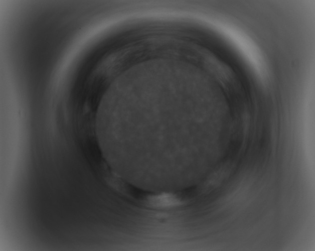 X0000101410431200807071259