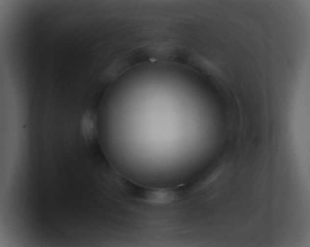 X0000101410432200807071259