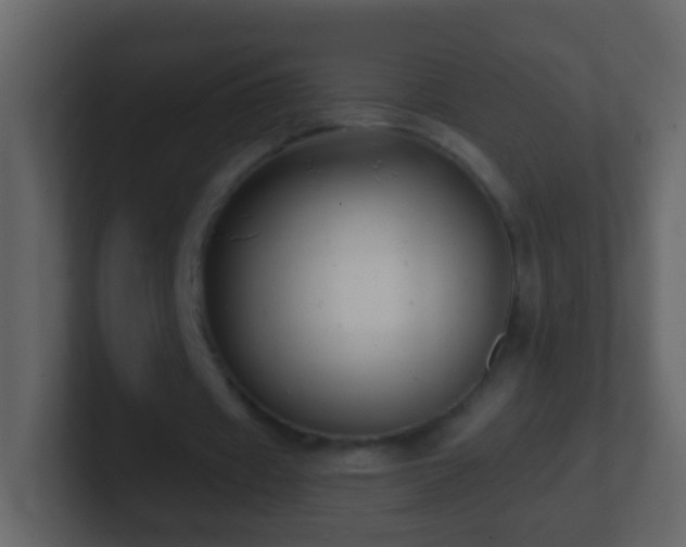 X0000101410433200807071258